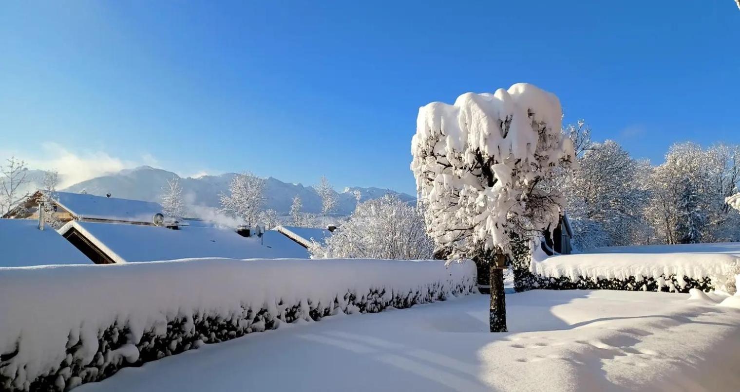 Ferienwohnung Geierstein Wackersberg Экстерьер фото